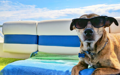 La clinique reste ouverte tout l’été