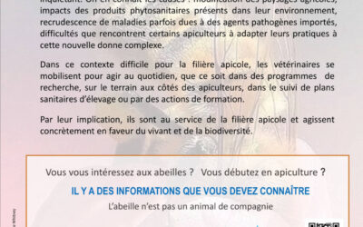 La santé des abeilles