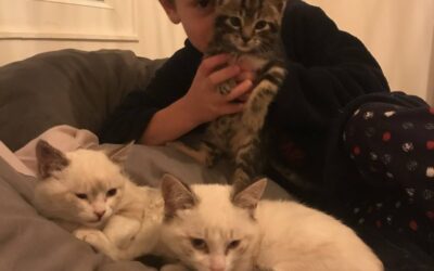 Je cherche une famille