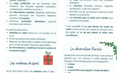 Les dangers de Noël