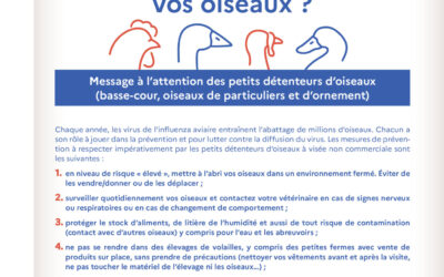 Avez-vous bien protégé vos oiseaux ?