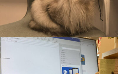 Nouveaux employés !