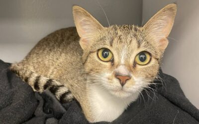 Elle à trouvé sa famille :)