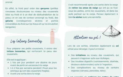 L’hiver approche !