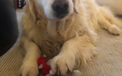 Le Père Noël est passé