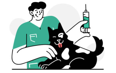 Une injection contre les puces et les tiques